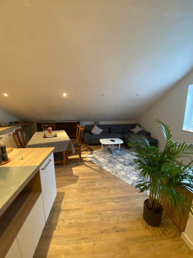Ferienwohnung Lehmann Staufen im Breisgau Dış mekan fotoğraf